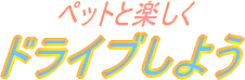 ドライブしよう