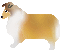座る犬