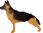 シェパード